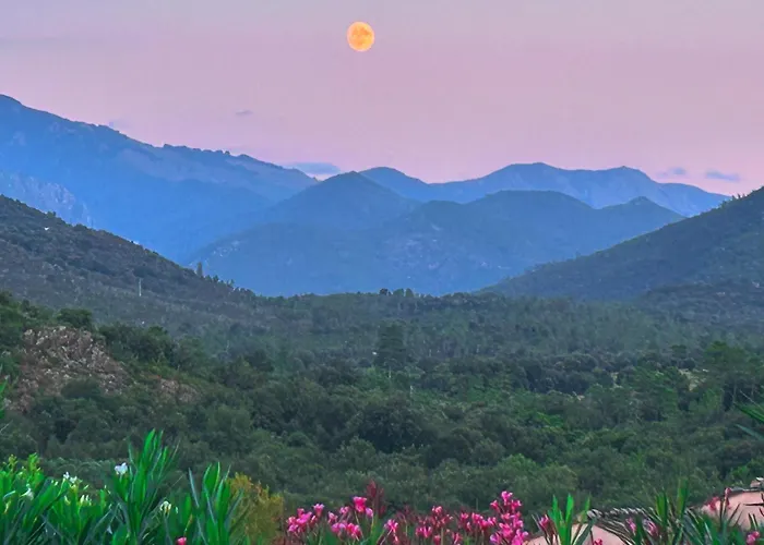 Cismonte 公寓 Morosaglia